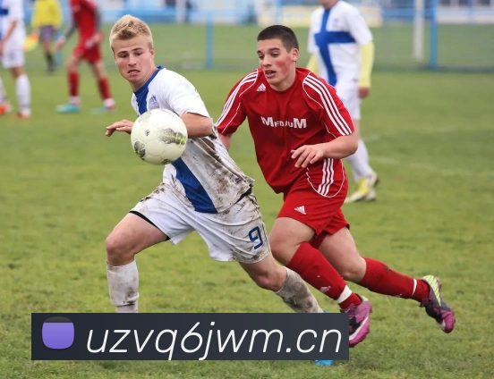 beat365唯一官网服务体系